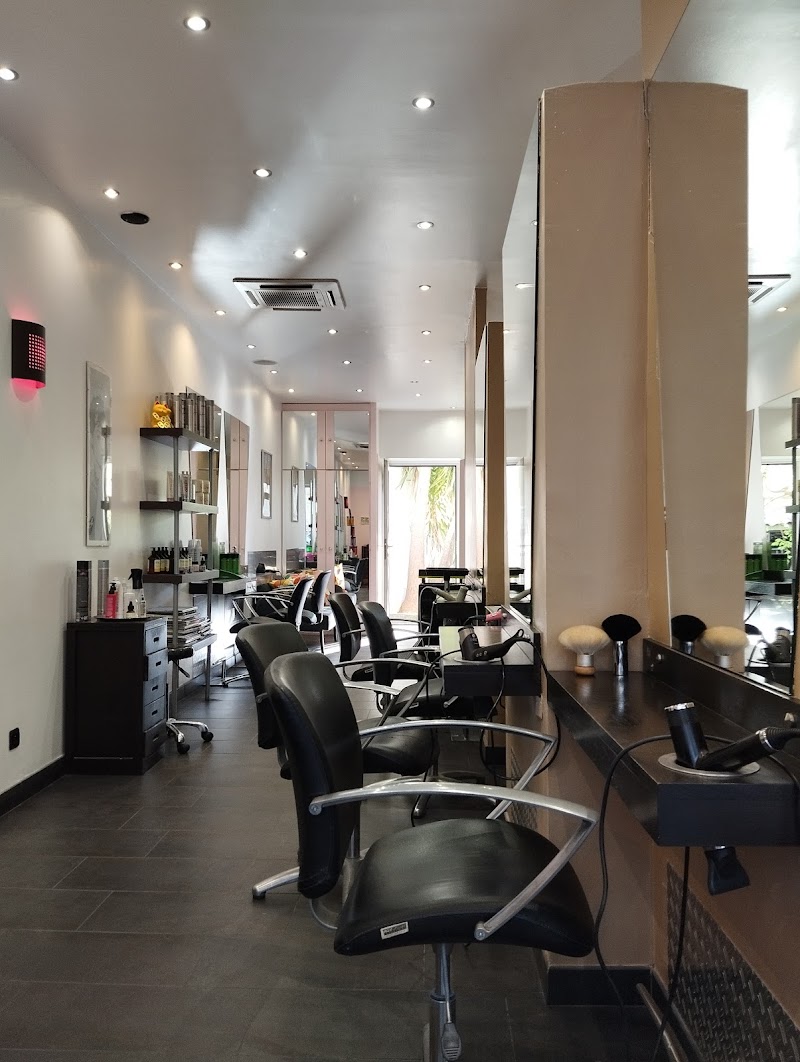 Salon Dell Ascenza