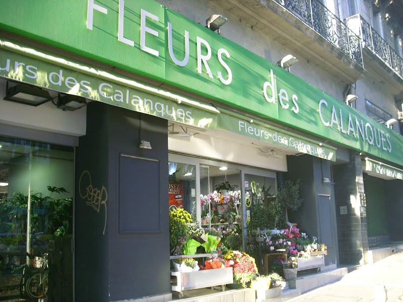 Fleurs des Calanques
