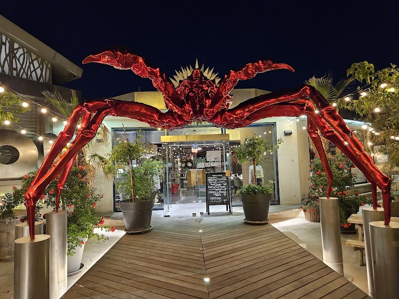 Toinou, les Fruits de Mer !