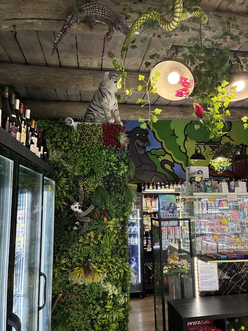 Jungle 13 shop