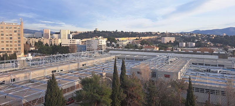 Les Cèdres