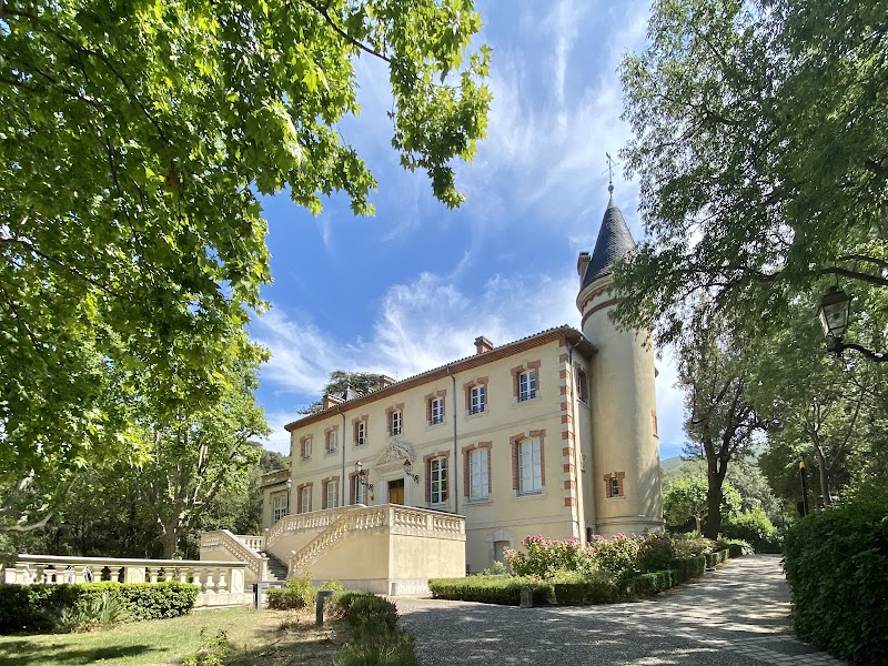 Château De Forbin