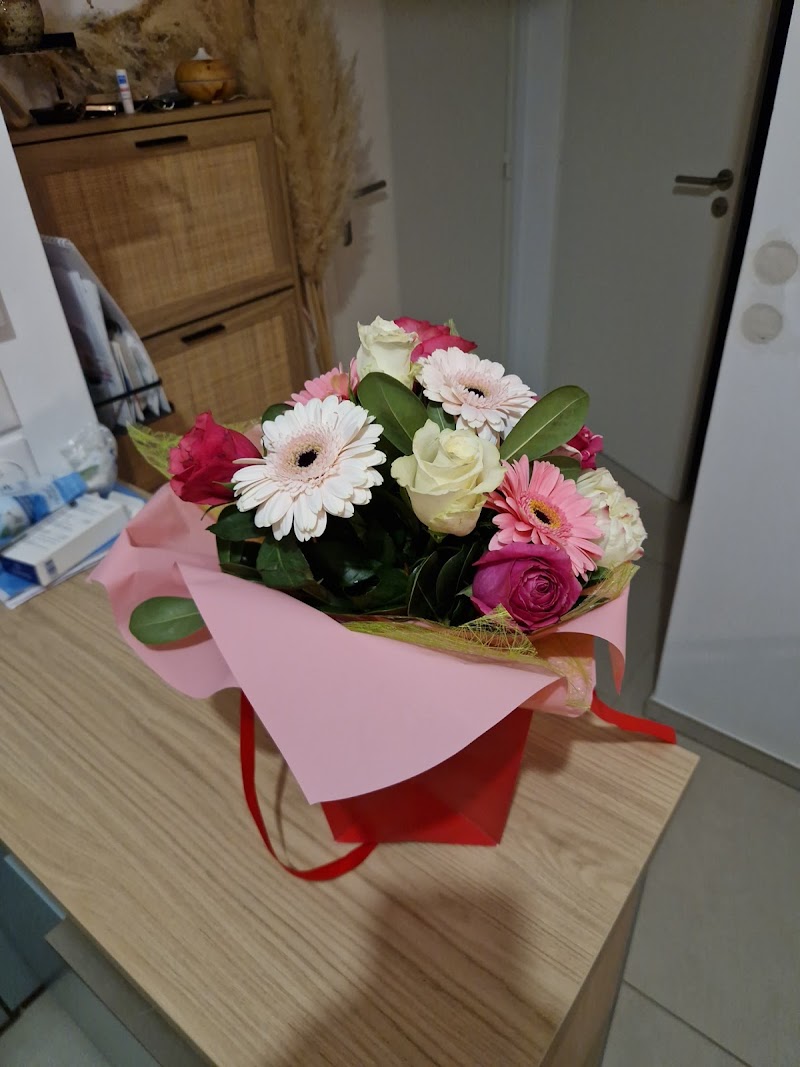 Lily Fleurs