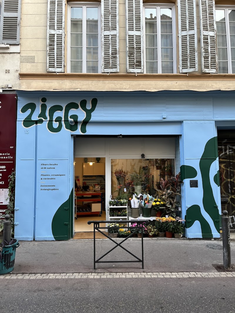 Ziggy | Fleuriste Marseille