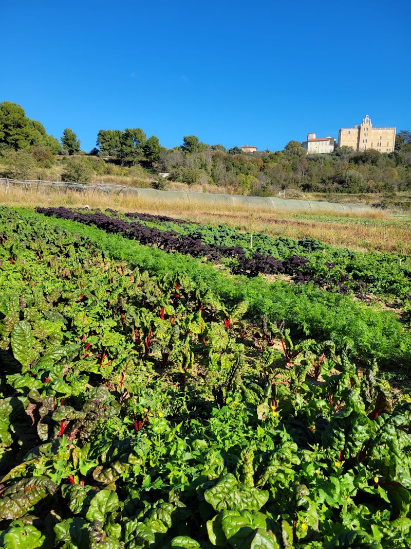 Terres d'ICI