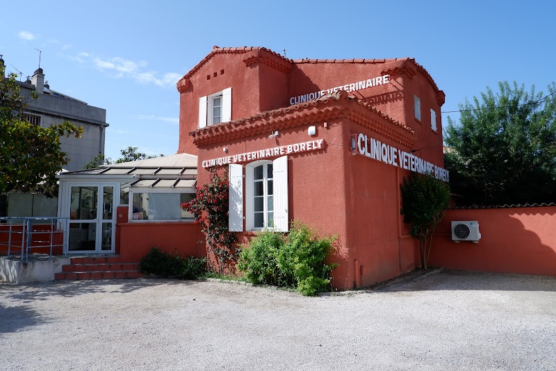 Veterinary Clinic Borely