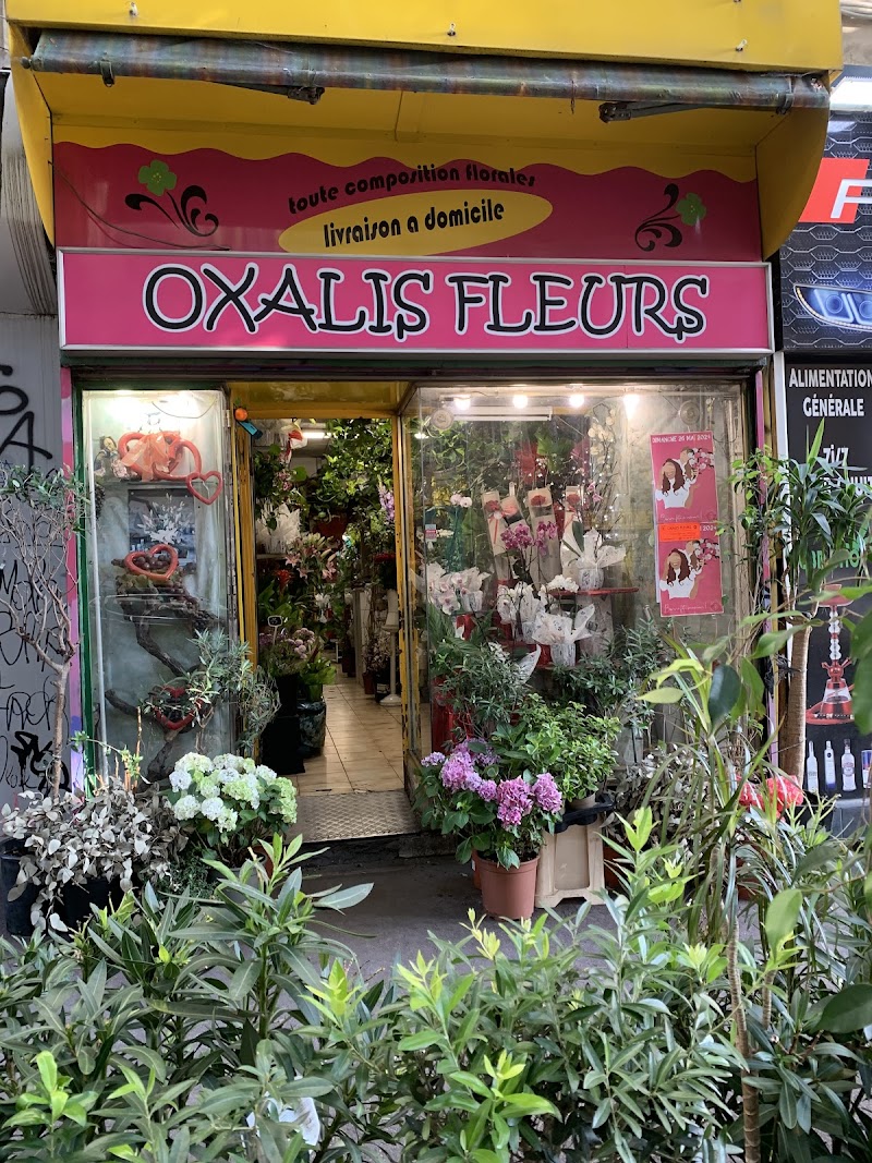 Oxalis Fleurs