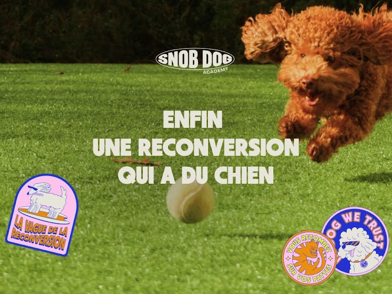 Snob Dog Academy