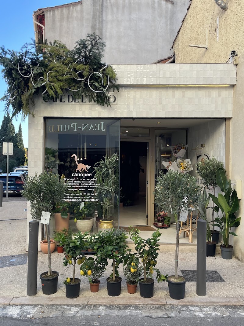 Canopée Saint-Barnabé | Fleuriste Marseille