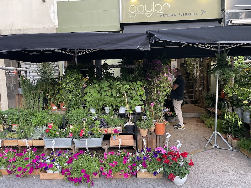 Gaylor l'artisan fleuriste 7ème