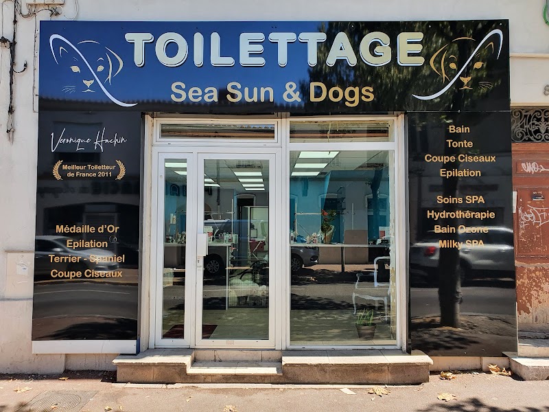 Sea Sun'And Dogs