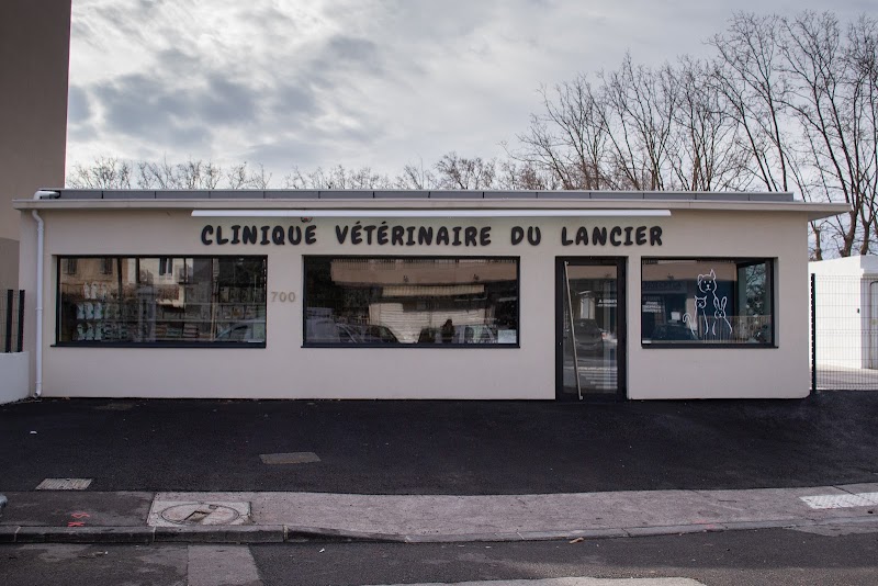 Clinique Vétérinaire du Lancier