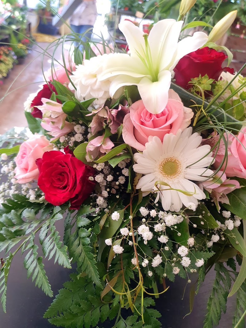 Au Délice des Fleurs