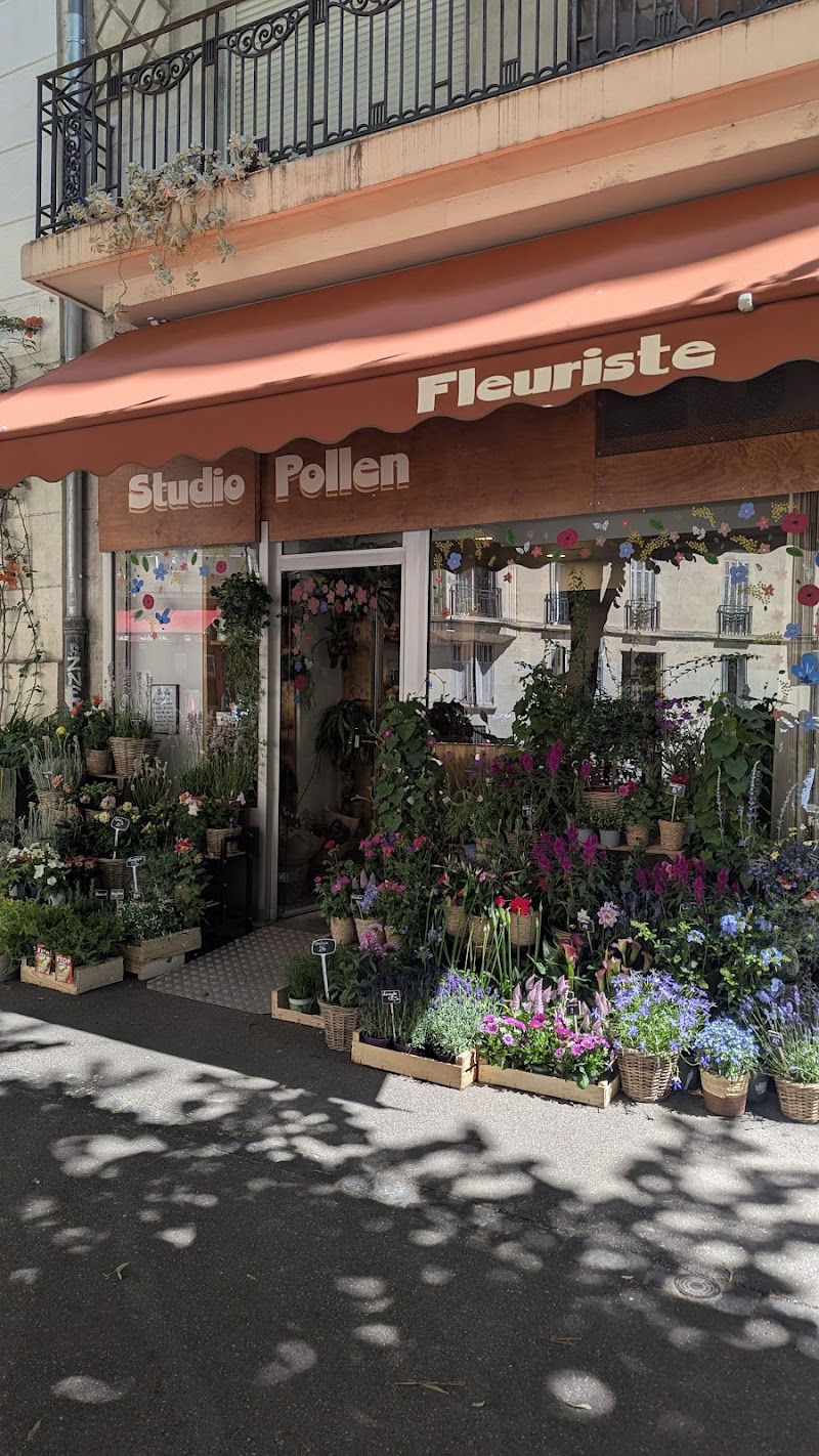 Studio Pollen