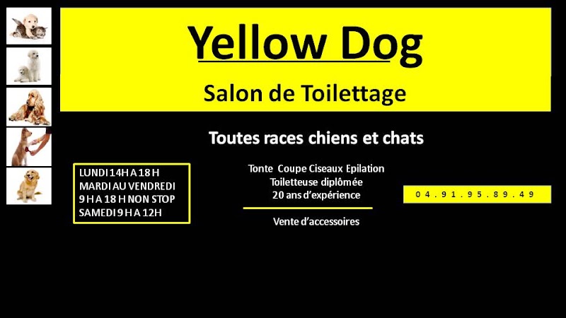 Yellow Dog