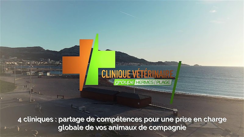 Veterinary Clinic of the Beach