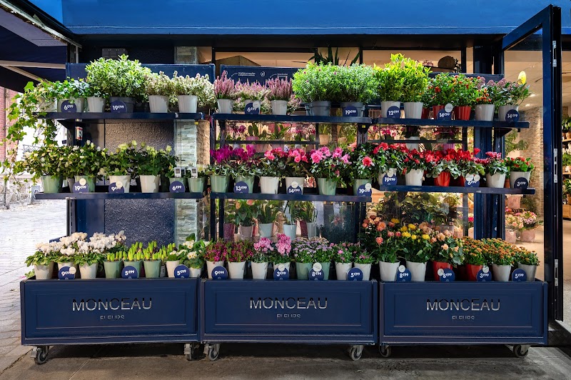 MONCEAU FLEURS